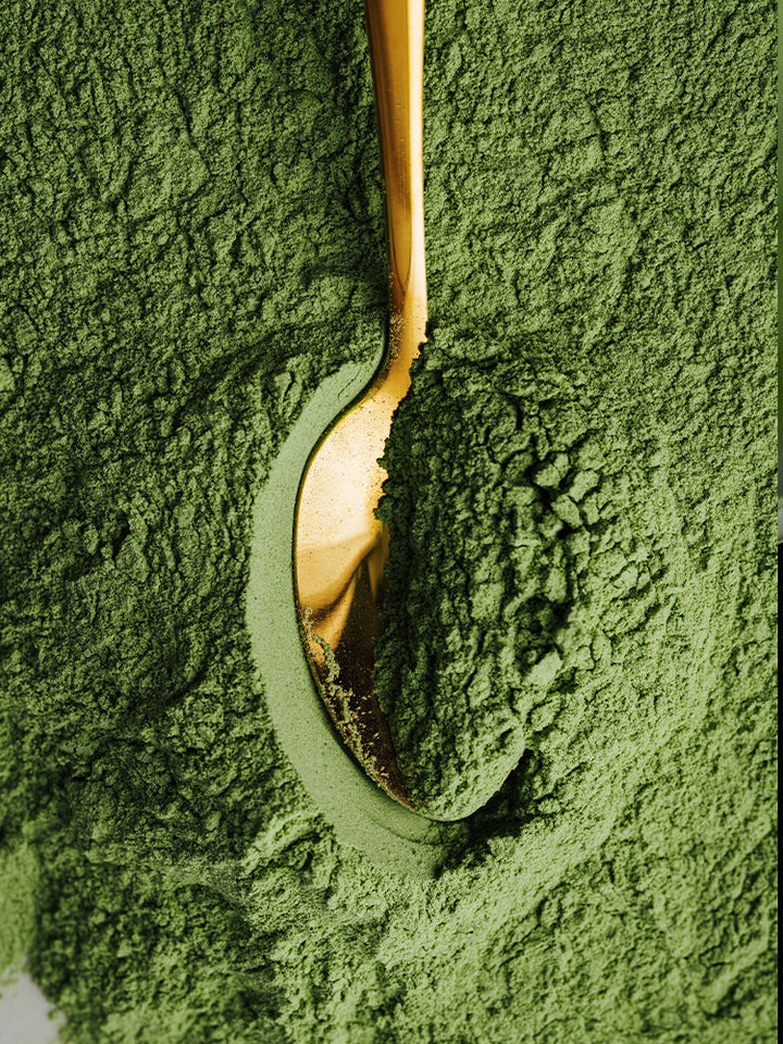 Klasikinė Matcha arbata