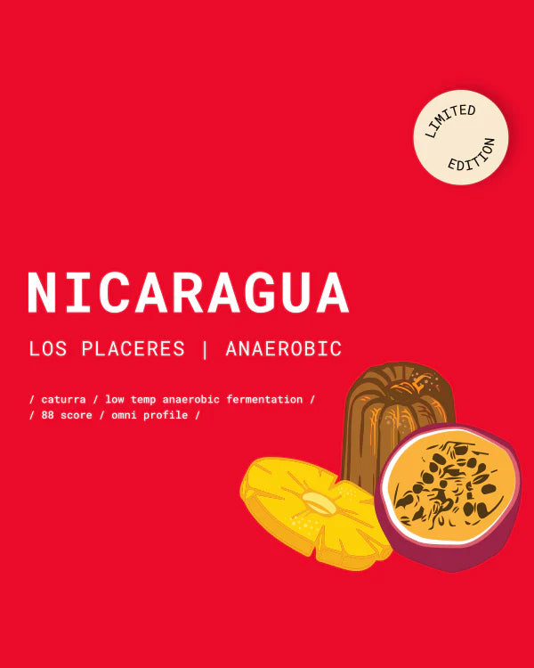 Rūšinės kavos pupelės Goat Story „Nicaragua - Los Placeres - Anaerobic“