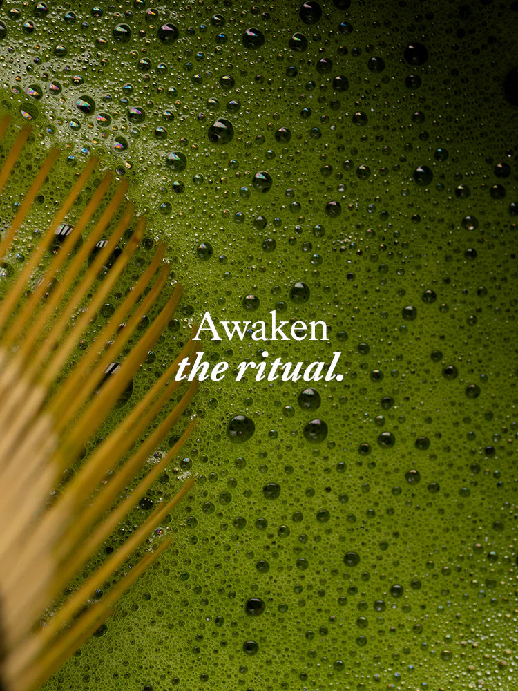 Ceremoninė Matcha arbata