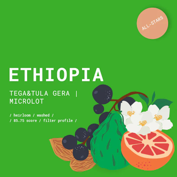 Rūšinės kavos pupelės Goat Story „Ethiopia - Tega&Tula Gera - Washed“